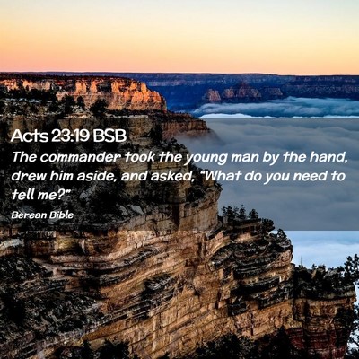 Picture 02 - Acts 23:19 BSB - The commander took the young man by the hand, - Bible Verse Picture