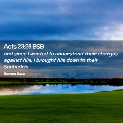 Picture 02 - Acts 23:28 BSB - and since I wanted to understand their charges - Bible Verse Picture