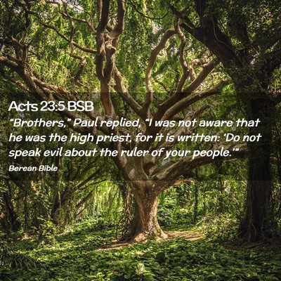 Picture 02 - Acts 23:5 BSB - “Brothers,” Paul replied, “I was not aware - Bible Verse Picture