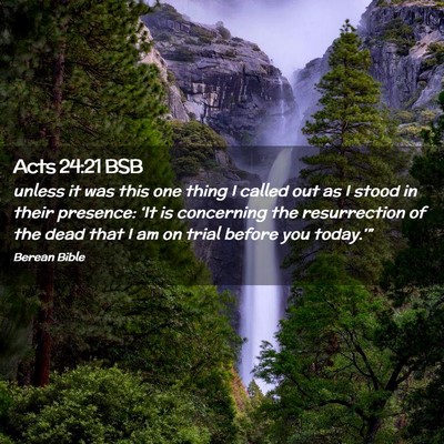 Picture 02 - Acts 24:21 BSB - unless it was this one thing I called out as I - Bible Verse Picture