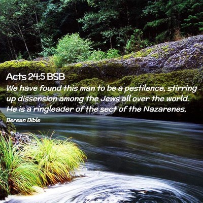 Picture 02 - Acts 24:5 BSB - We have found this man to be a pestilence, - Bible Verse Picture