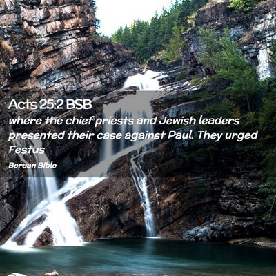 Picture 02 - Acts 25:2 BSB - where the chief priests and Jewish leaders - Bible Verse Picture