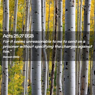 Picture 02 - Acts 25:27 BSB - For it seems unreasonable to me to send on a - Bible Verse Picture