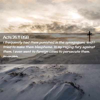 Picture 02 - Acts 26:11 BSB - I frequently had them punished in the synagogues, - Bible Verse Picture