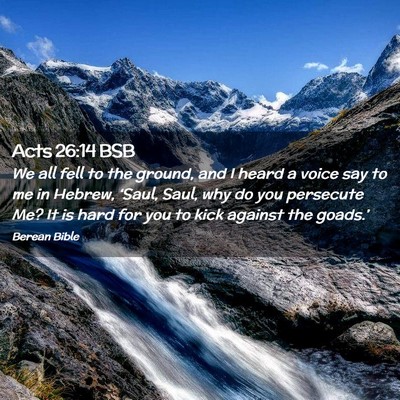 Picture 02 - Acts 26:14 BSB - We all fell to the ground, and I heard a voice - Bible Verse Picture