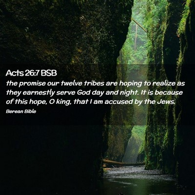 Picture 02 - Acts 26:7 BSB - the promise our twelve tribes are hoping to - Bible Verse Picture