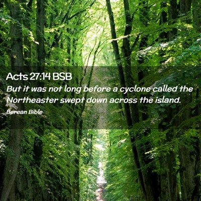Picture 02 - Acts 27:14 BSB - But it was not long before a cyclone called the - Bible Verse Picture