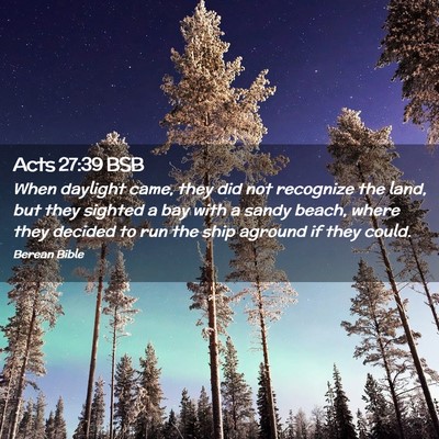 Picture 02 - Acts 27:39 BSB - When daylight came, they did not recognize the - Bible Verse Picture