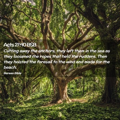 Picture 02 - Acts 27:40 BSB - Cutting away the anchors, they left them in the - Bible Verse Picture