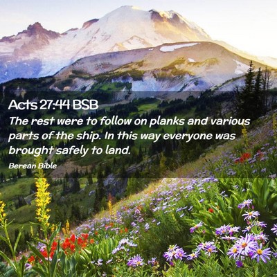 Picture 02 - Acts 27:44 BSB - The rest were to follow on planks and various - Bible Verse Picture