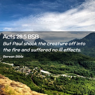 Picture 02 - Acts 28:5 BSB - But Paul shook the creature off into the fire and - Bible Verse Picture