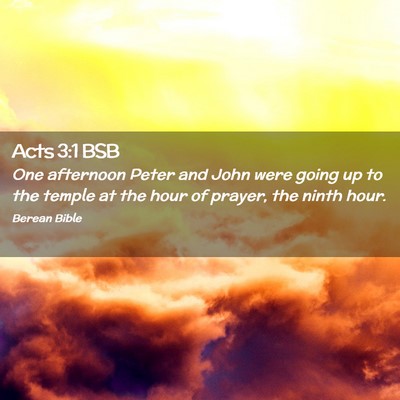 Picture 02 - Acts 3:1 BSB - One afternoon Peter and John were going up to the - Bible Verse Picture