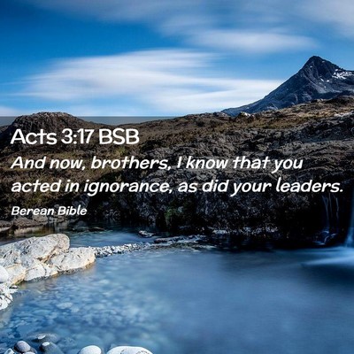 Picture 02 - Acts 3:17 BSB - And now, brothers, I know that you acted in - Bible Verse Picture