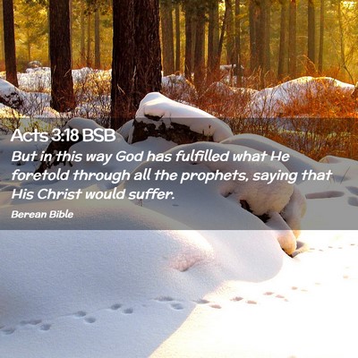 Picture 02 - Acts 3:18 BSB - But in this way God has fulfilled what He - Bible Verse Picture