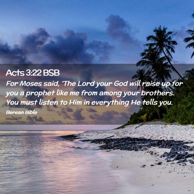 Picture 02 - Acts 3:22 BSB - For Moses said, ‘The Lord your God will raise - Bible Verse Picture