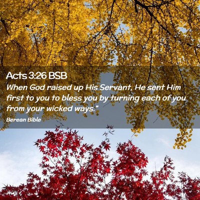 Picture 02 - Acts 3:26 BSB - When God raised up His Servant, He sent Him first - Bible Verse Picture