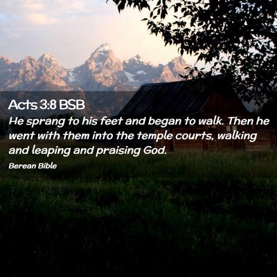 Picture 02 - Acts 3:8 BSB - He sprang to his feet and began to walk. Then he - Bible Verse Picture