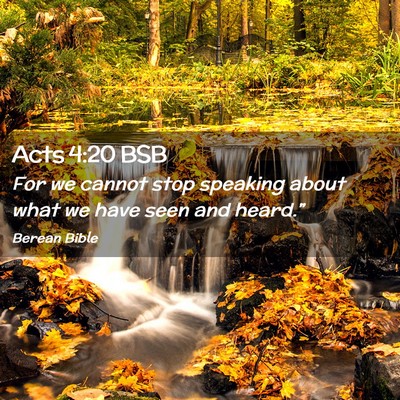 Picture 02 - Acts 4:20 BSB - For we cannot stop speaking about what we have - Bible Verse Picture