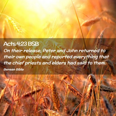 Picture 02 - Acts 4:23 BSB - On their release, Peter and John returned to - Bible Verse Picture