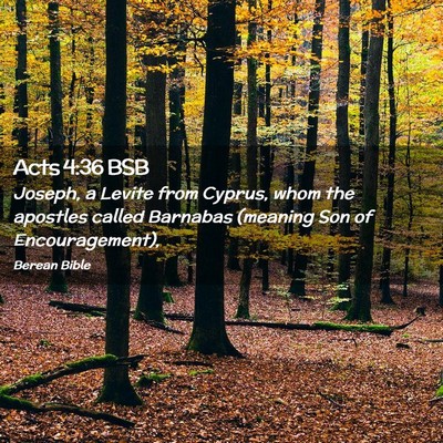 Picture 02 - Acts 4:36 BSB - Joseph, a Levite from Cyprus, whom the apostles - Bible Verse Picture