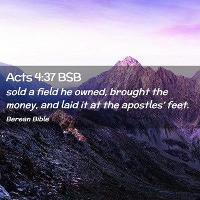 Picture 02 - Acts 4:37 BSB - sold a field he owned, brought the money, and - Bible Verse Picture
