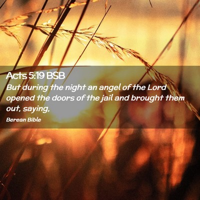 Picture 02 - Acts 5:19 BSB - But during the night an angel of the Lord opened - Bible Verse Picture