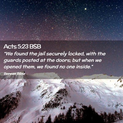 Picture 02 - Acts 5:23 BSB - “We found the jail securely locked, with the - Bible Verse Picture