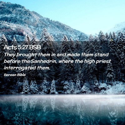 Picture 02 - Acts 5:27 BSB - They brought them in and made them stand before - Bible Verse Picture