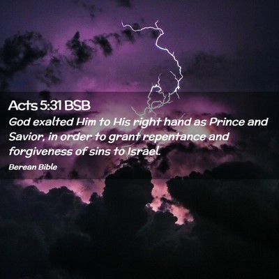 Picture 02 - Acts 5:31 BSB - God exalted Him to His right hand as Prince and - Bible Verse Picture