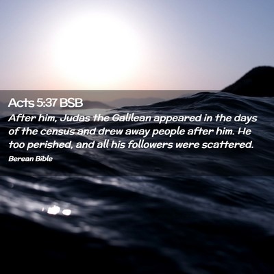 Picture 02 - Acts 5:37 BSB - After him, Judas the Galilean appeared in the - Bible Verse Picture