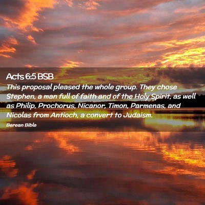 Picture 02 - Acts 6:5 BSB - This proposal pleased the whole group. They chose - Bible Verse Picture