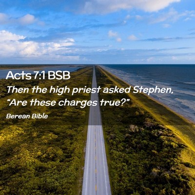 Picture 02 - Acts 7:1 BSB - Then the high priest asked Stephen, “Are these - Bible Verse Picture