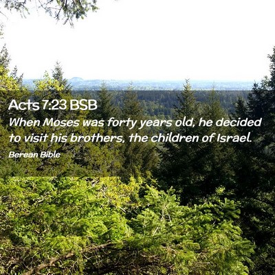 Picture 02 - Acts 7:23 BSB - When Moses was forty years old, he decided to - Bible Verse Picture