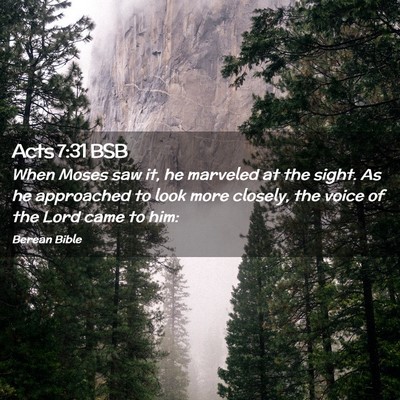 Picture 02 - Acts 7:31 BSB - When Moses saw it, he marveled at the sight. As - Bible Verse Picture