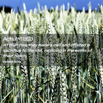 Picture 02 - Acts 7:41 BSB - At that time they made a calf and offered a - Bible Verse Picture
