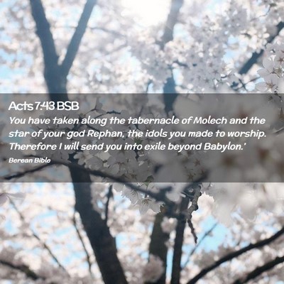 Picture 02 - Acts 7:43 BSB - You have taken along the tabernacle of Molech and - Bible Verse Picture
