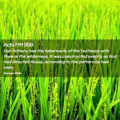 Picture 02 - Acts 7:44 BSB - Our fathers had the tabernacle of the Testimony - Bible Verse Picture