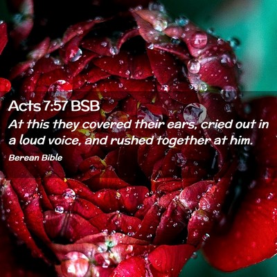 Picture 02 - Acts 7:57 BSB - At this they covered their ears, cried out in a - Bible Verse Picture
