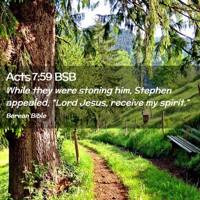 Picture 02 - Acts 7:59 BSB - While they were stoning him, Stephen appealed, - Bible Verse Picture