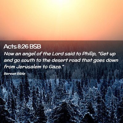 Picture 02 - Acts 8:26 BSB - Now an angel of the Lord said to Philip, “Get - Bible Verse Picture