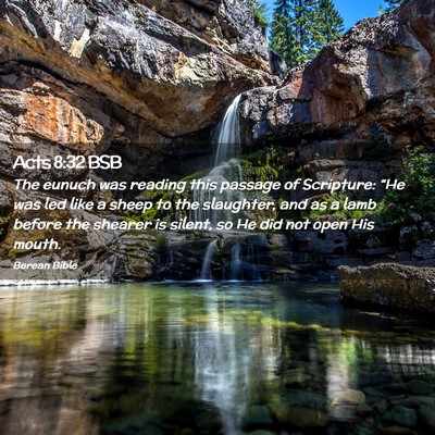 Picture 02 - Acts 8:32 BSB - The eunuch was reading this passage of Scripture: - Bible Verse Picture
