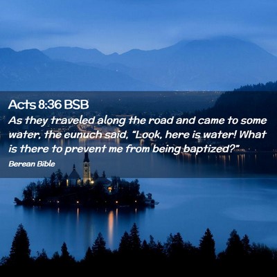 Picture 02 - Acts 8:36 BSB - As they traveled along the road and came to some - Bible Verse Picture