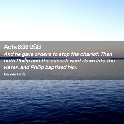 Picture 02 - Acts 8:38 BSB - And he gave orders to stop the chariot. Then both - Bible Verse Picture