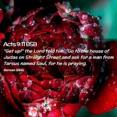 Picture 02 - Acts 9:11 BSB - “Get up!” the Lord told him. “Go to the - Bible Verse Picture