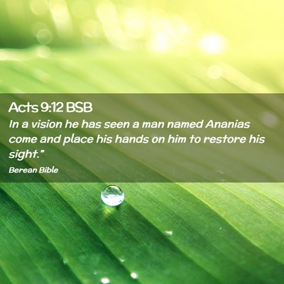 Picture 02 - Acts 9:12 BSB - In a vision he has seen a man named Ananias come - Bible Verse Picture