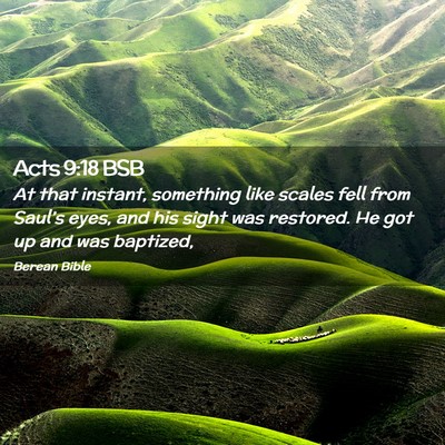Picture 02 - Acts 9:18 BSB - At that instant, something like scales fell from - Bible Verse Picture