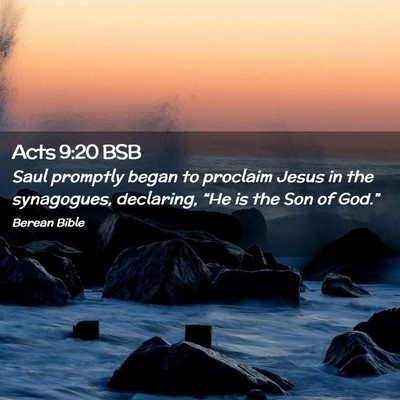 Picture 02 - Acts 9:20 BSB - Saul promptly began to proclaim Jesus in the - Bible Verse Picture