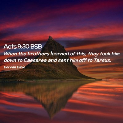 Picture 02 - Acts 9:30 BSB - When the brothers learned of this, they took him - Bible Verse Picture