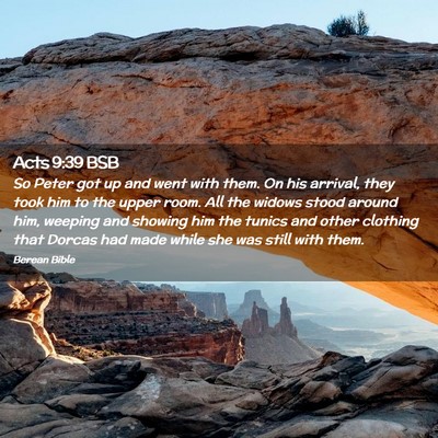 Picture 02 - Acts 9:39 BSB - So Peter got up and went with them. On his - Bible Verse Picture