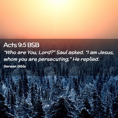 Picture 02 - Acts 9:5 BSB - “Who are You, Lord?” Saul asked. “I am - Bible Verse Picture